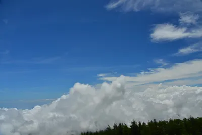 DSC_3635 (Large).JPG